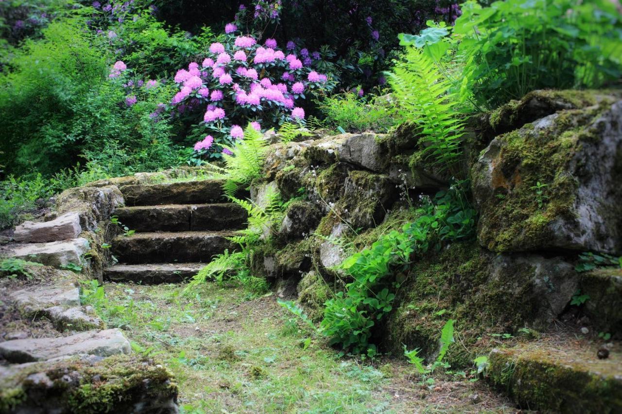Villa Brodthage, App. 2 Walkenried Dış mekan fotoğraf